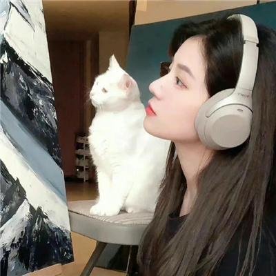 狮子今夜入睡